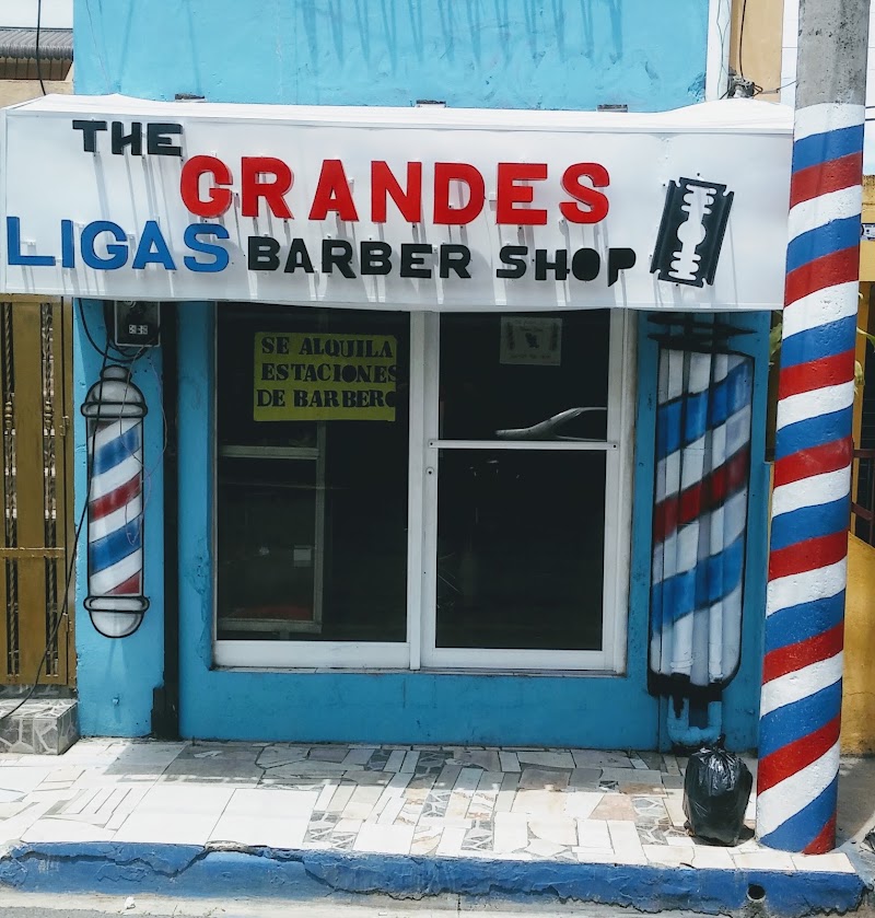 The Grandes Ligas