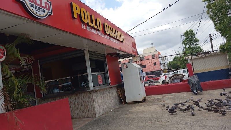 Pollo al Carbon