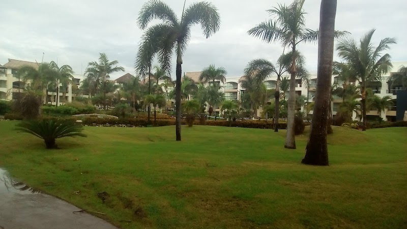 Hard Rock Hotel