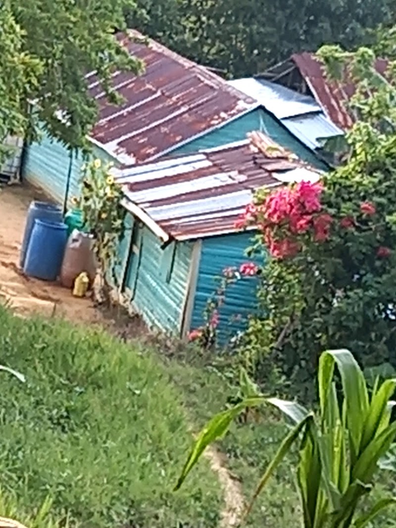 Respaldó 33