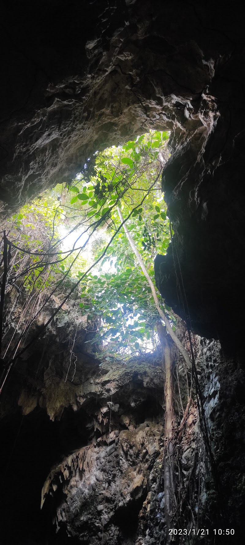 La cueva