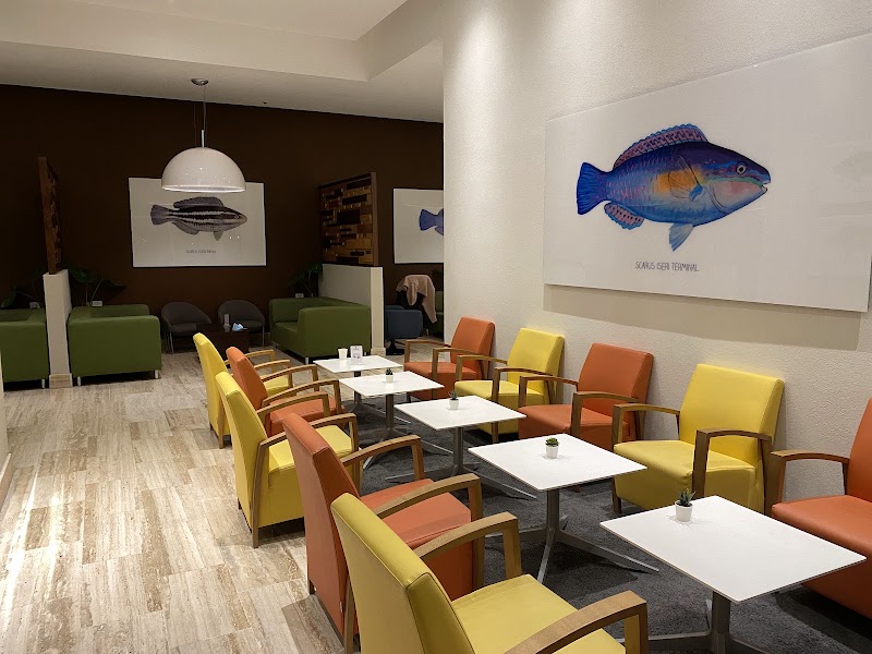 Vip Lounge Club Punta Cana