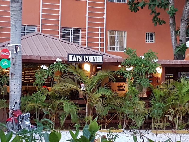 Kat’s Corner