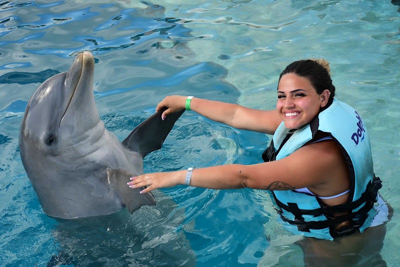 Dolphin Island Park Bavaro