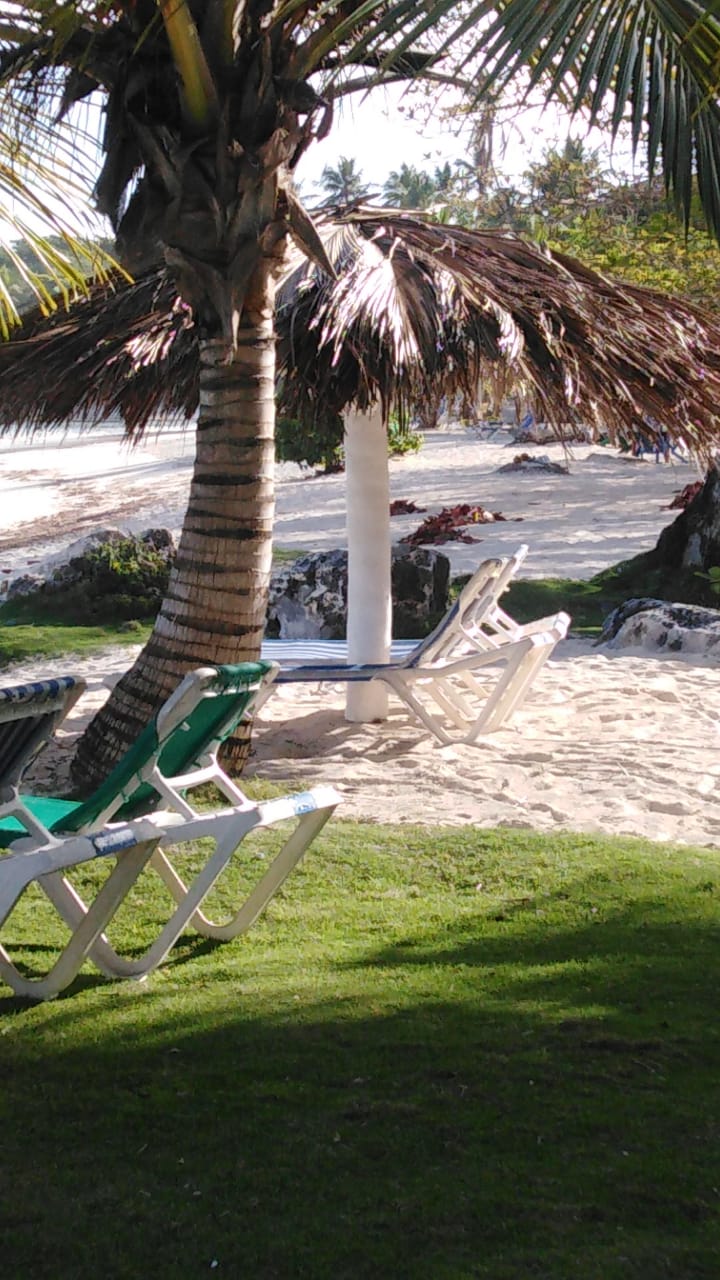 Playita